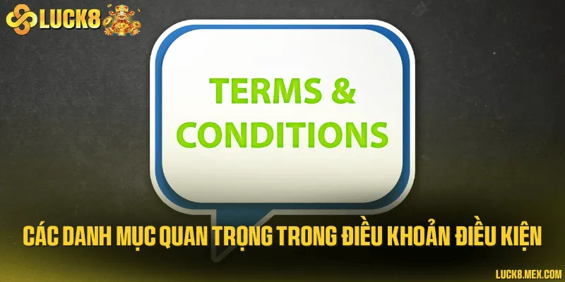 Thông tin quan trọng về quy định điều khoản điều kiện