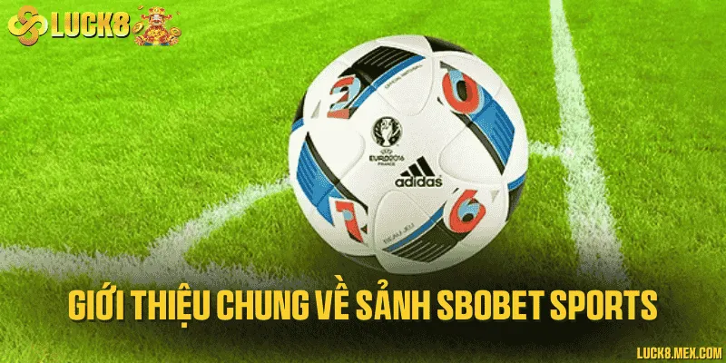 Thông tin chi tiết về sảnh thể thao trực tuyến SBO 